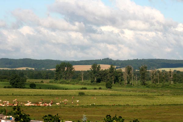 Killikus&reg; Fotographie